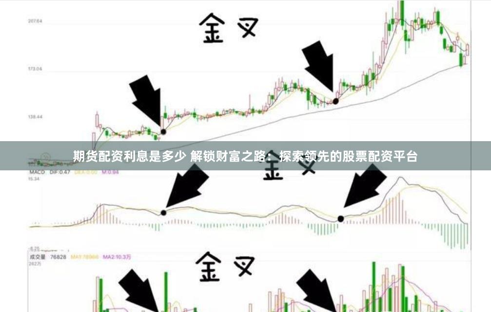 期货配资利息是多少 解锁财富之路：探索领先的股票配资平台