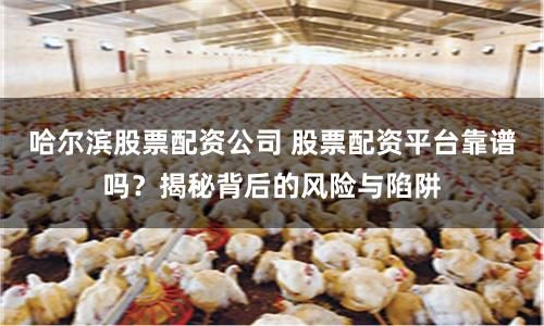哈尔滨股票配资公司 股票配资平台靠谱吗？揭秘背后的风险与陷阱