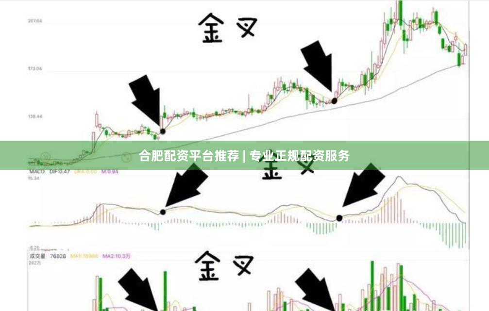 合肥配资平台推荐 | 专业正规配资服务