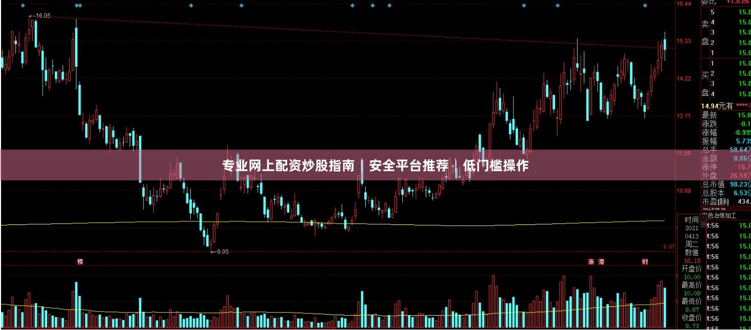专业网上配资炒股指南│安全平台推荐│低门槛操作