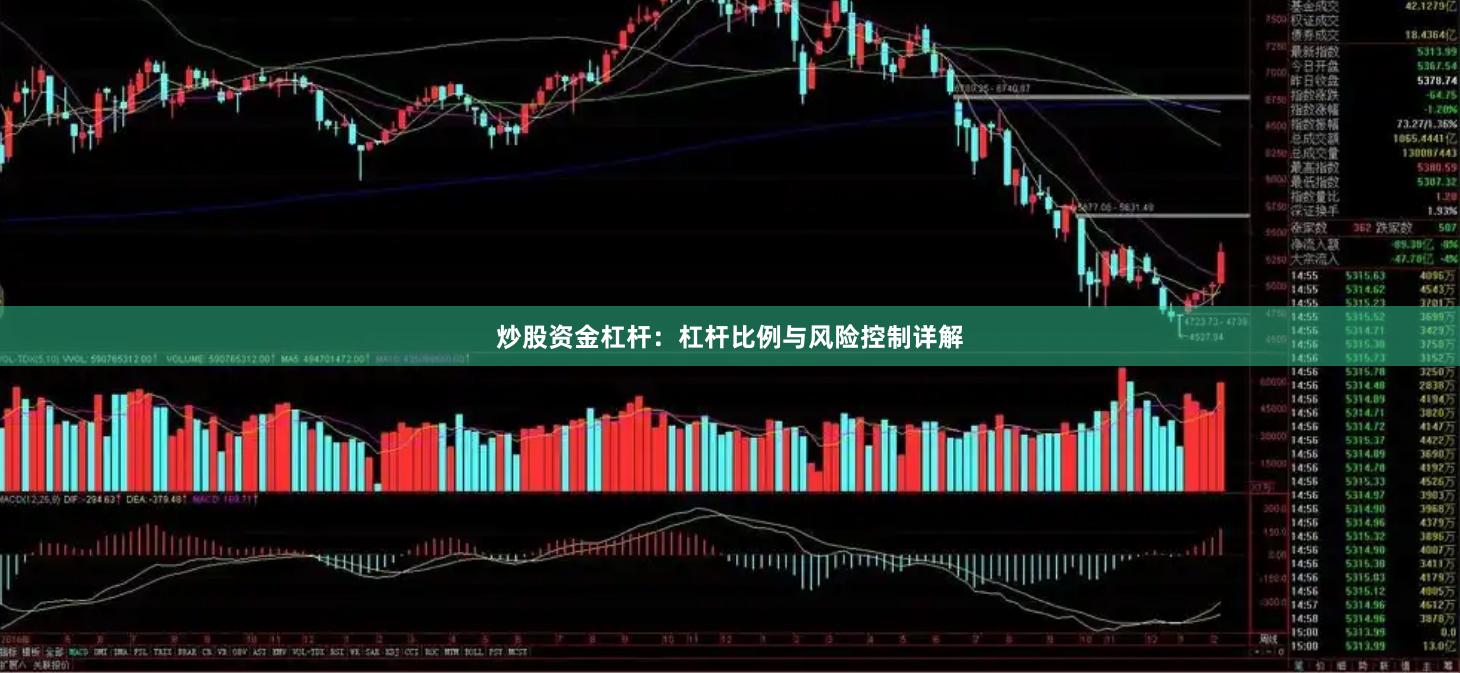 炒股资金杠杆：杠杆比例与风险控制详解